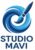 Logo of Studio Mavi with a blue paintbrush and circular design.